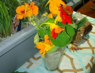 BabuEdibleHerbs2