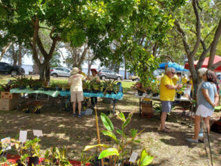 MarchInThePark14