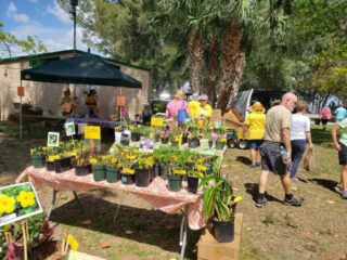 MarchInThePark15