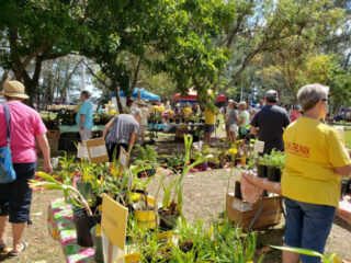 MarchInThePark17