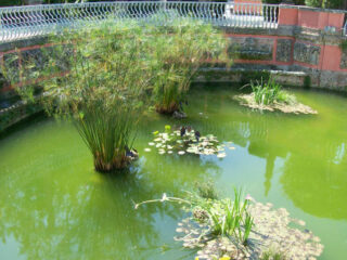 WaterGardens1