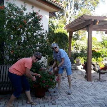Garden Club of Cape Coral volunteers working at the library butterfly garden