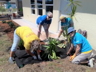 Habitat For Humanity Garden Club of Cape Coral