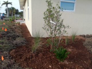 Habitat For Humanity Garden Club of Cape Coral