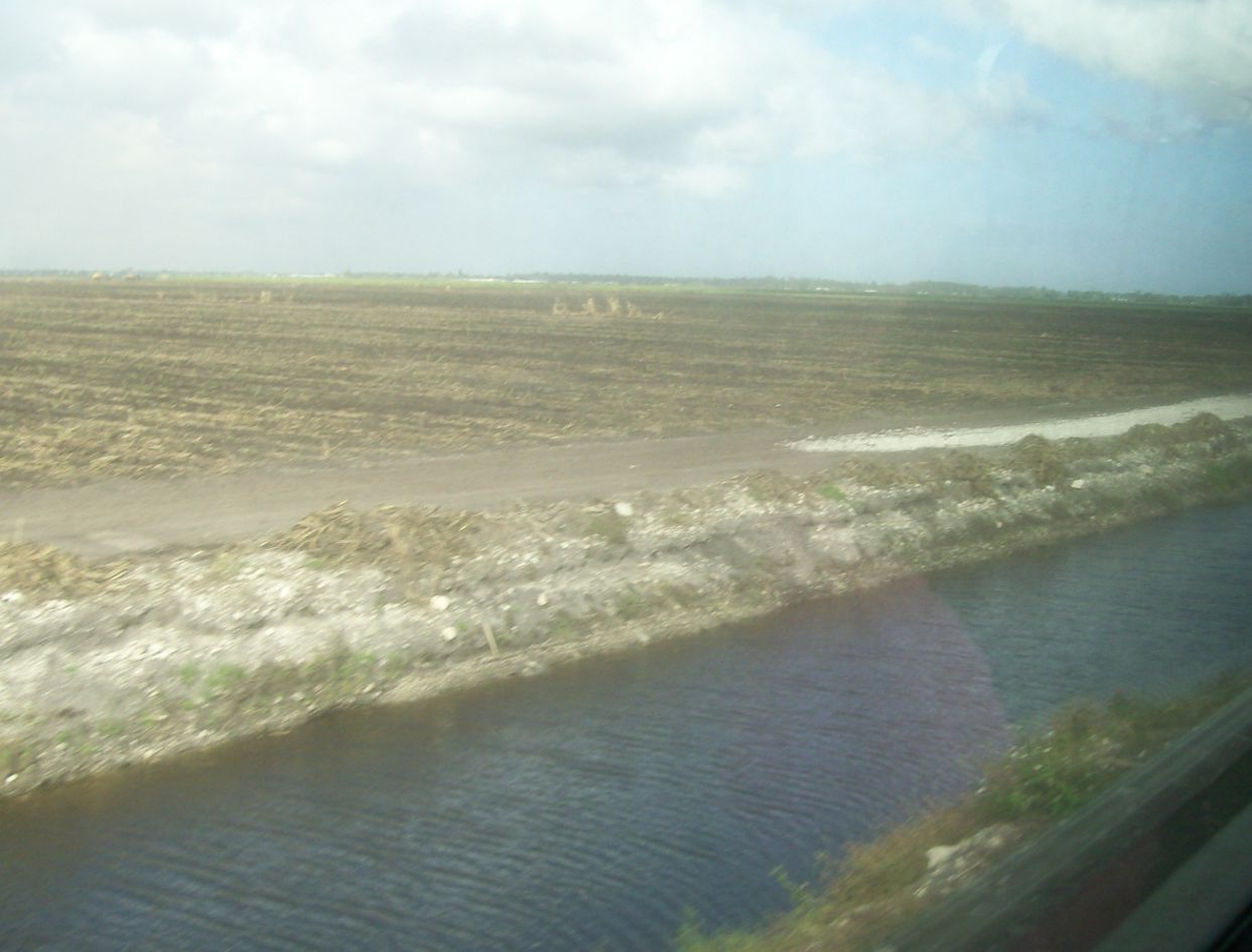 irrigartion canal