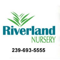 Riverland Nursery Newsletter November 2019