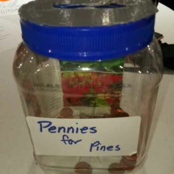 Pennies for Pines donation jug