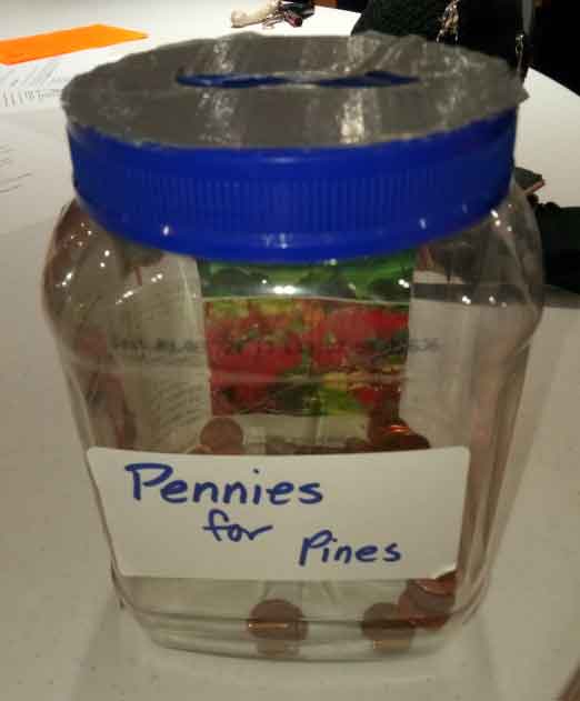pennies for pines donation jug for the Garden Club of Cape Coral