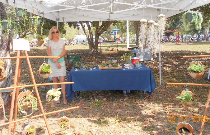 Air Plants and Succulents Vendor