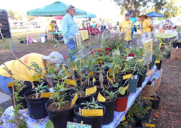 Bird Butterfly Plants and Other Booths