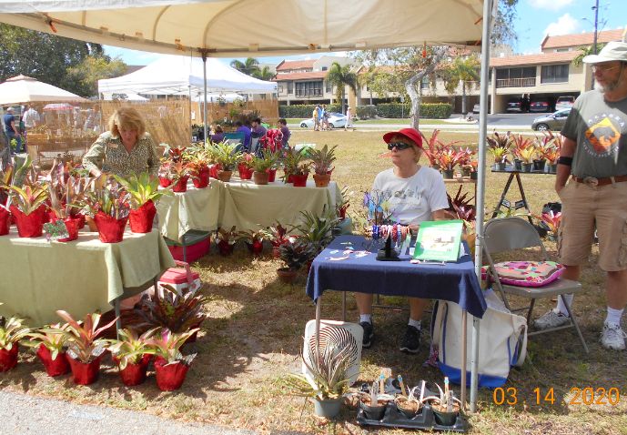 Bromeliads Vendor