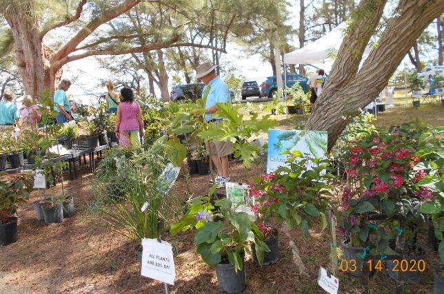 Calusa Palms Nursery