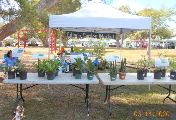 Edison Garden Market