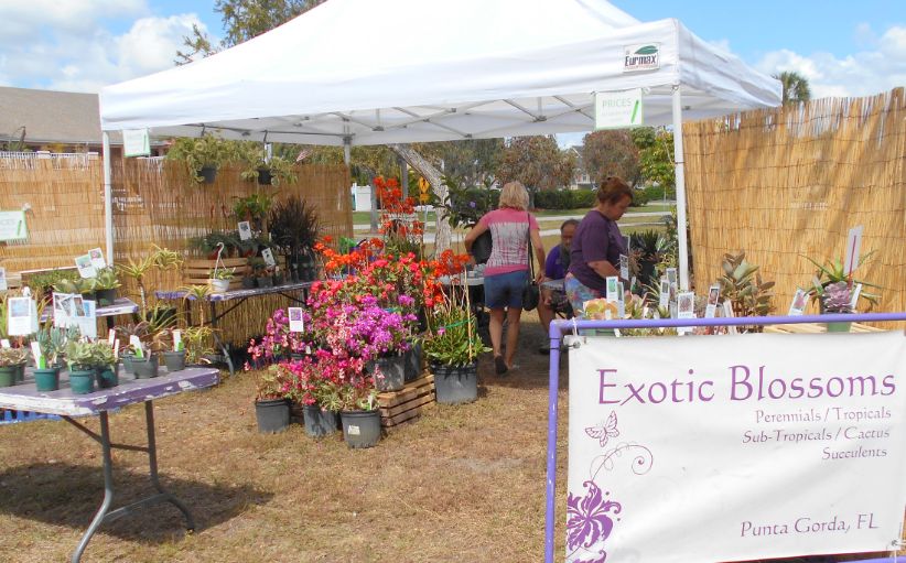 Exotic Blossoms
