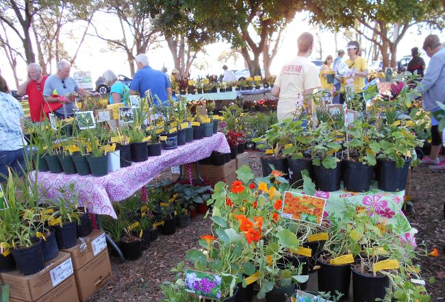 plants and customers at the March in the Park annual plant sale