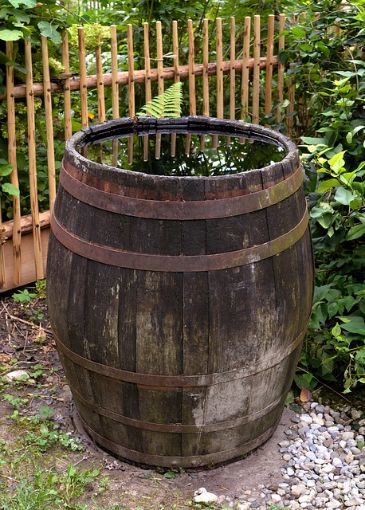 Rain Barrel