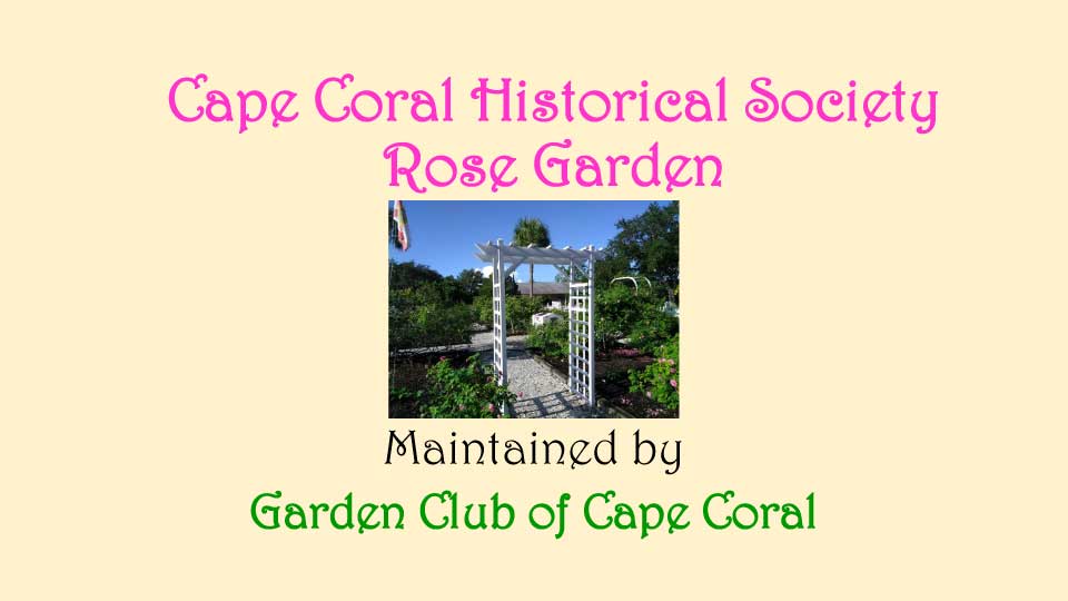 October Meeting 2020 - Rose Garden - 1