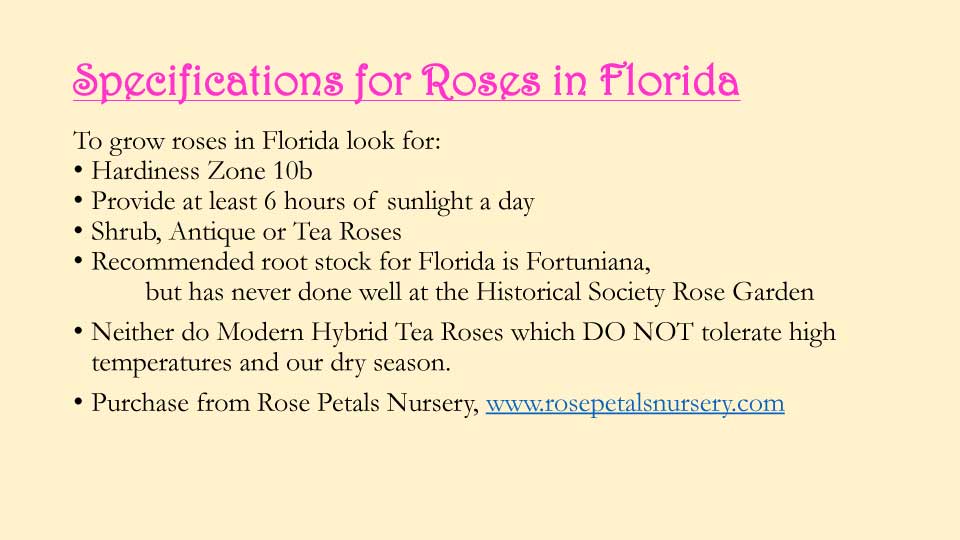 October Meeting 2020 - Rose Garden - 19