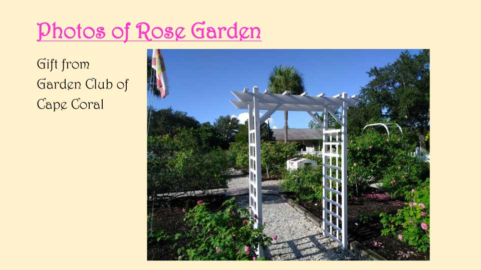 October Meeting 2020 - Rose Garden - 21