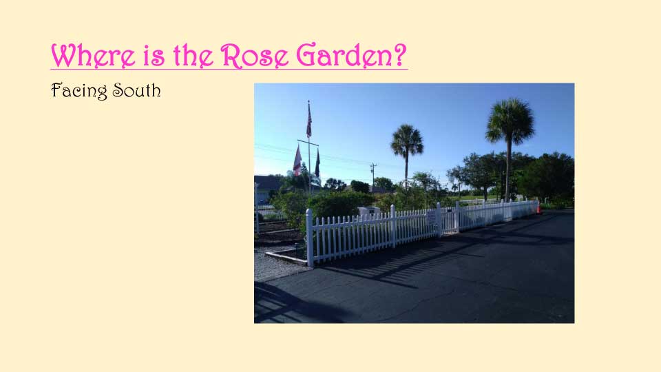 October Meeting 2020 - Rose Garden - 6