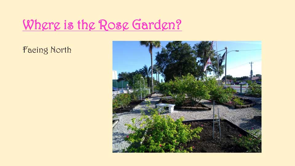 October Meeting 2020 - Rose Garden - 7