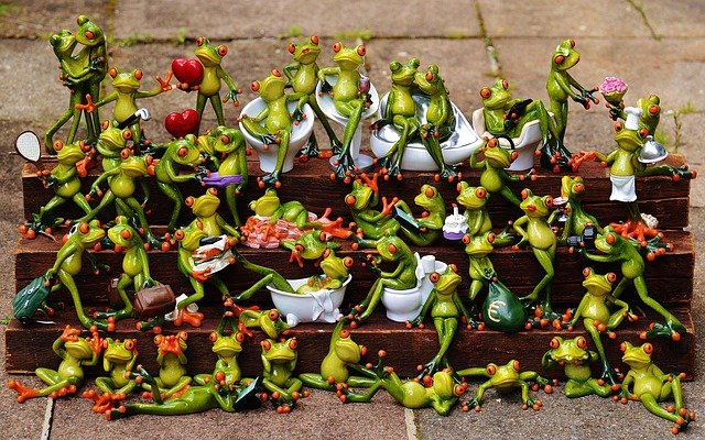 Frogs Meeting