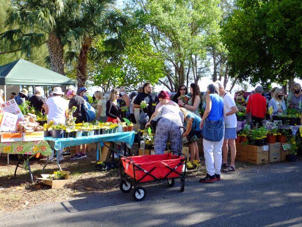 People buying plants