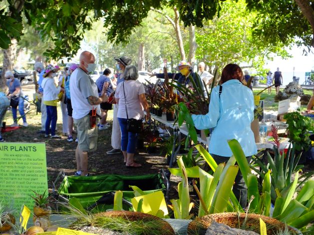 People browsing for plants at the Garden Club of Cape Coral March in the Park plant sale