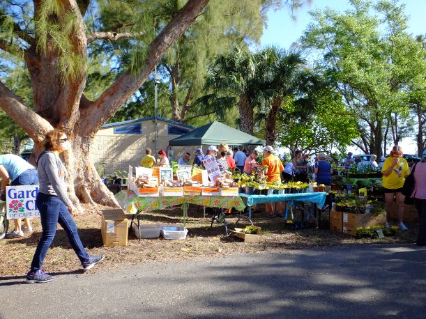 plant sale at Jaycee Park