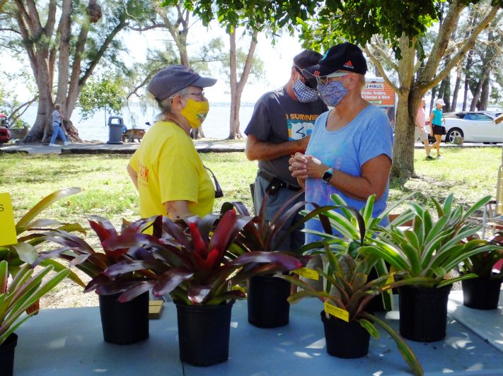 Bromeliads for sale at the Garden Club of Cape Coral March in the Park Plant Sale