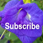 sandySTP logo image