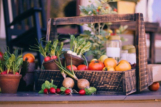 Vegetable basket