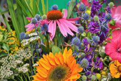 Rotary Park Plant Sale