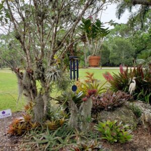 Sundance Orchids & Bromeliads lawn