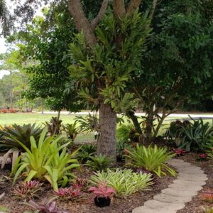 Sundance Orchids & Bromeliads walkway