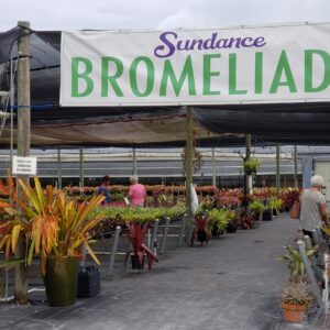 Sundance Orchids & Bromeliads Banner