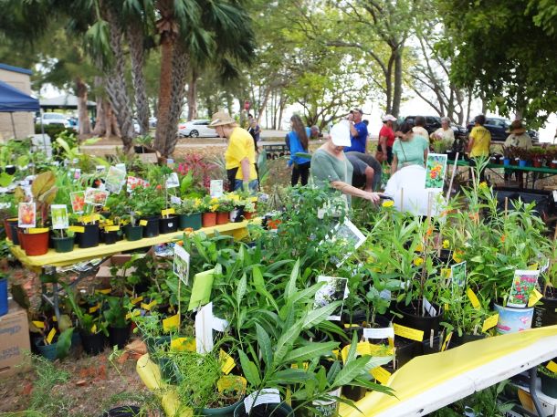 March in the Park 2022 many tables overflowing with plants