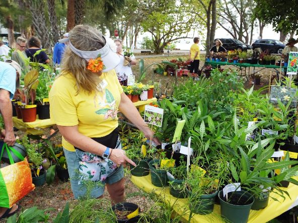 March in the Park 2022 yellow table filled with potted plants