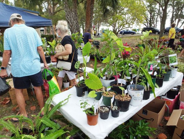 March in the Park 2022 table filled with potted plants