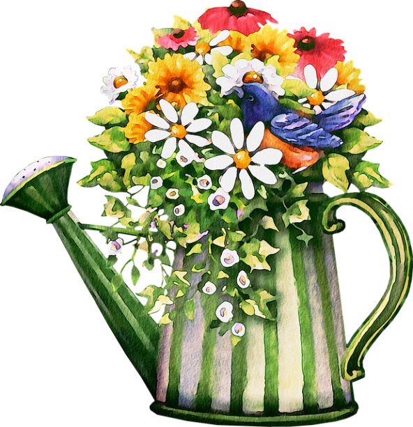 flowers in a watering can