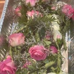 roses for new members