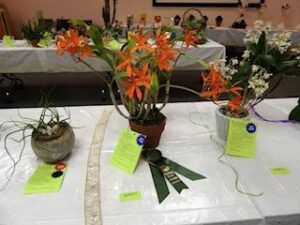 Horticulture designs