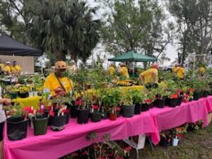 Garden Club Plant Sale