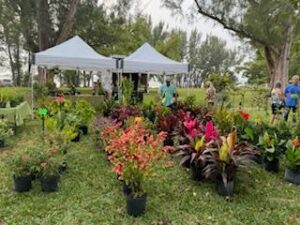 vendor booth with lots of plants
