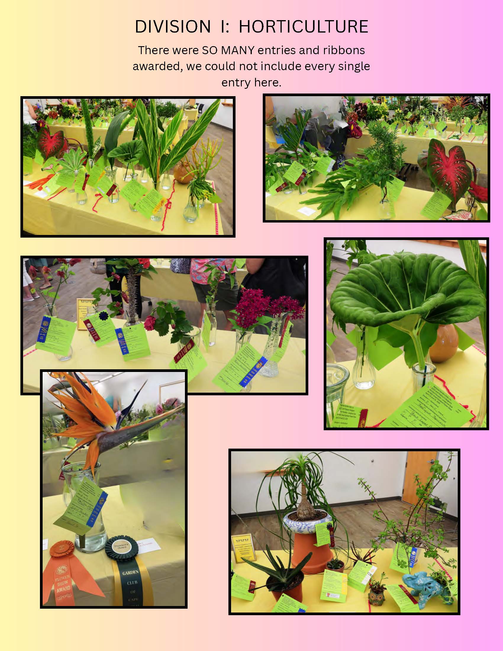 Flower Show 2026_Page_2 April Flower Show 2026