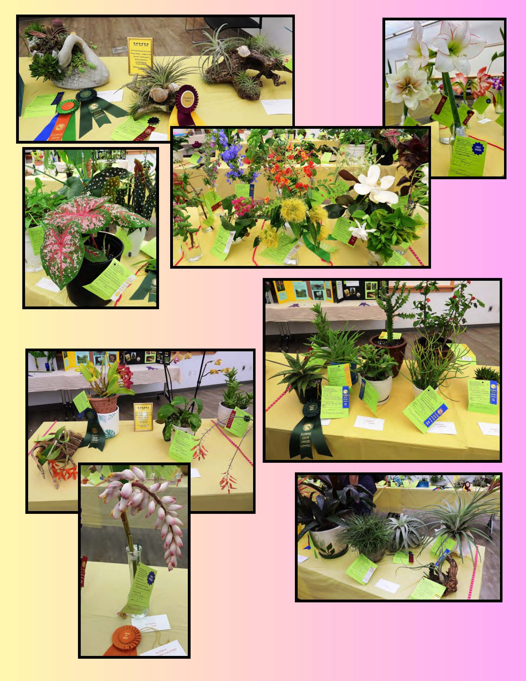 Flower Show 2026_Page_3 April Flower Show 2026
